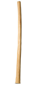 Natural Finish Flared Didgeridoo (TW1051)